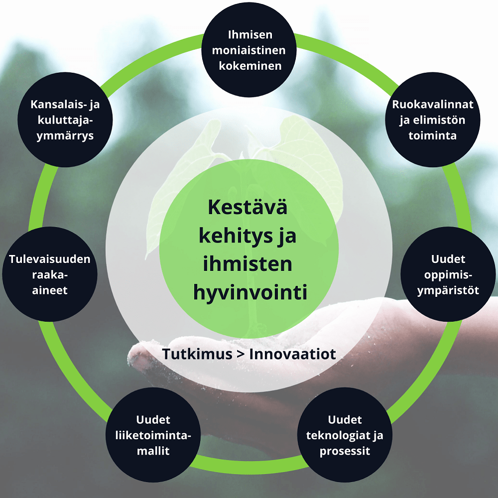 Flavorian tutkimusmahdollisuuksia esittävä kaavio, jonka keskiössä ovat kestävä kehitys ja ihmisten hyvinvointi.